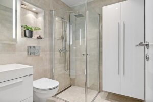 DreamLine Shower Door