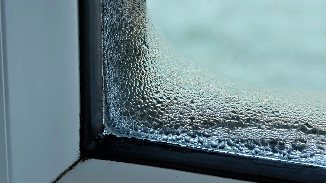Impact of Window Condensation on Health and Home