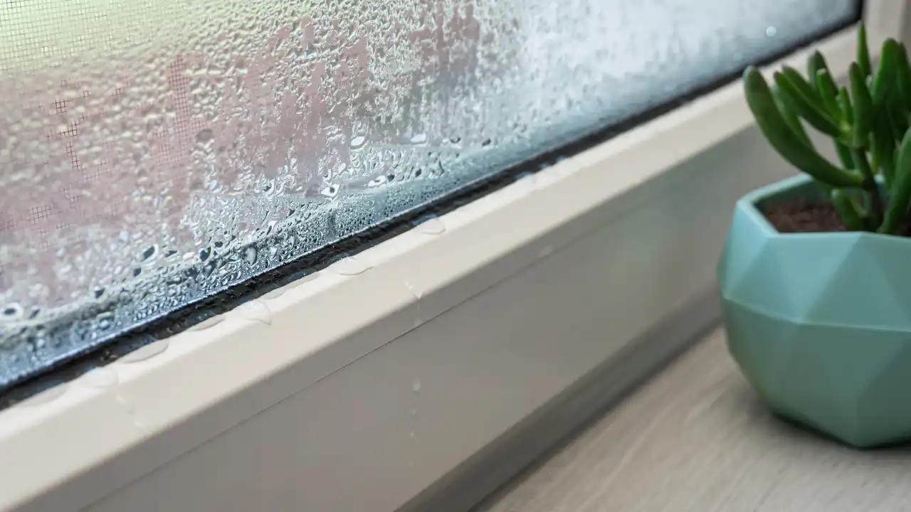 Why Does Condensation Form on Your Windows